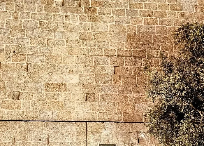 Three Little Birds -redbird 아파트 귀마레스